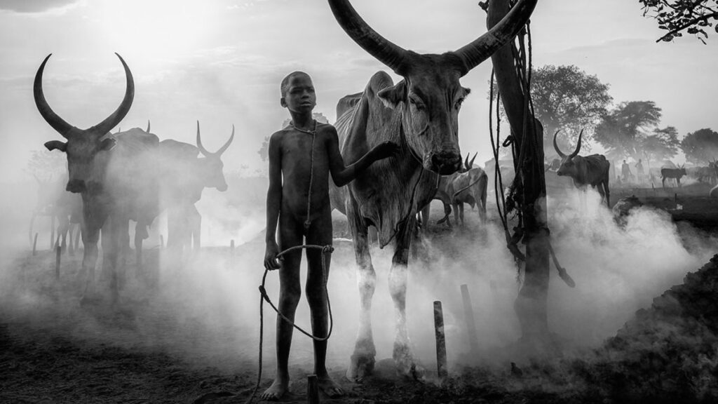 greekcircuit-2025-_0001_Trifilidis-Maurizio-His-favorite-cow-GPU-Bronze-Medal-open-monochrome