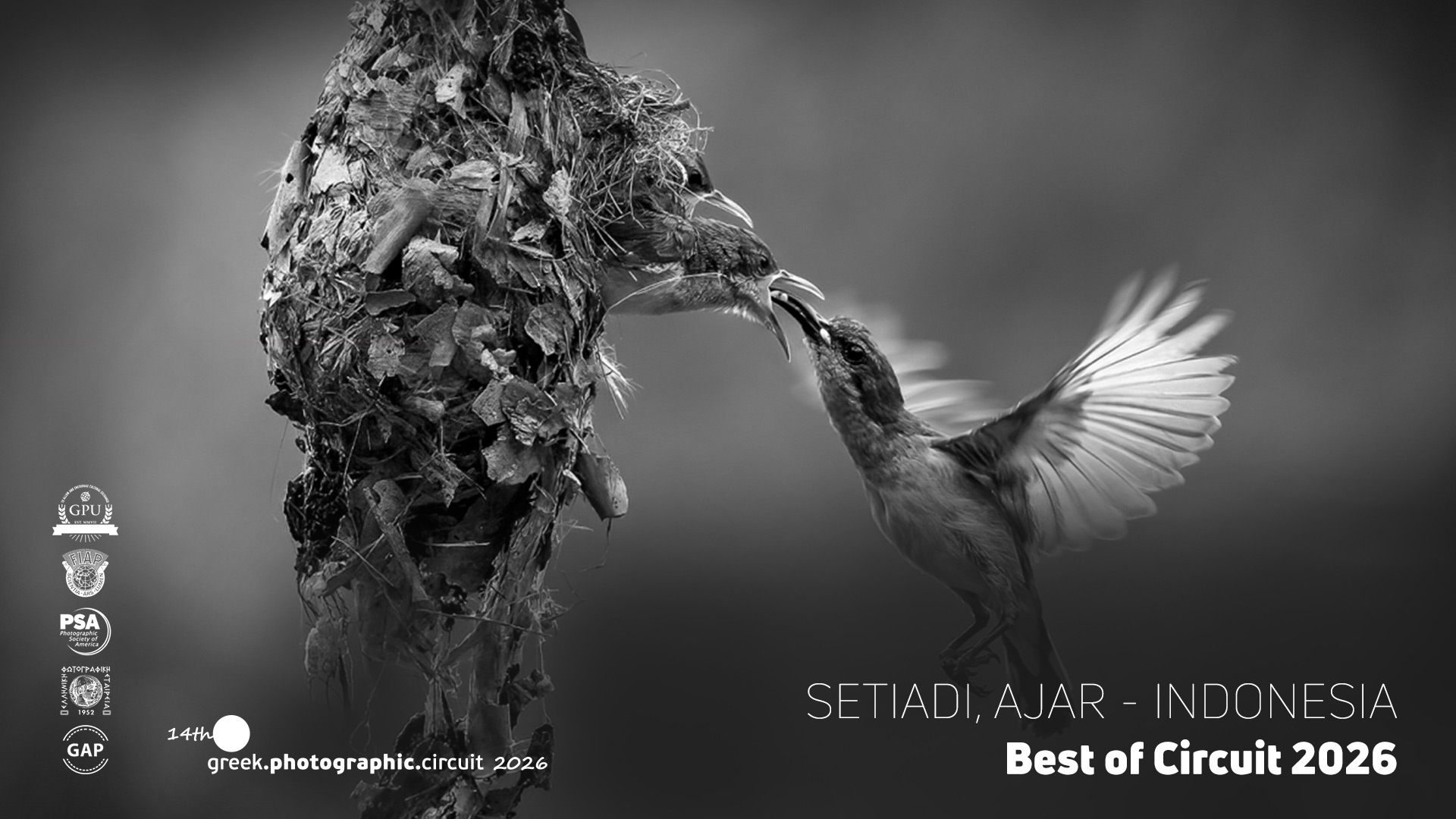 Setiadi,-Ajar-Indonesia-best-0f-2026-2