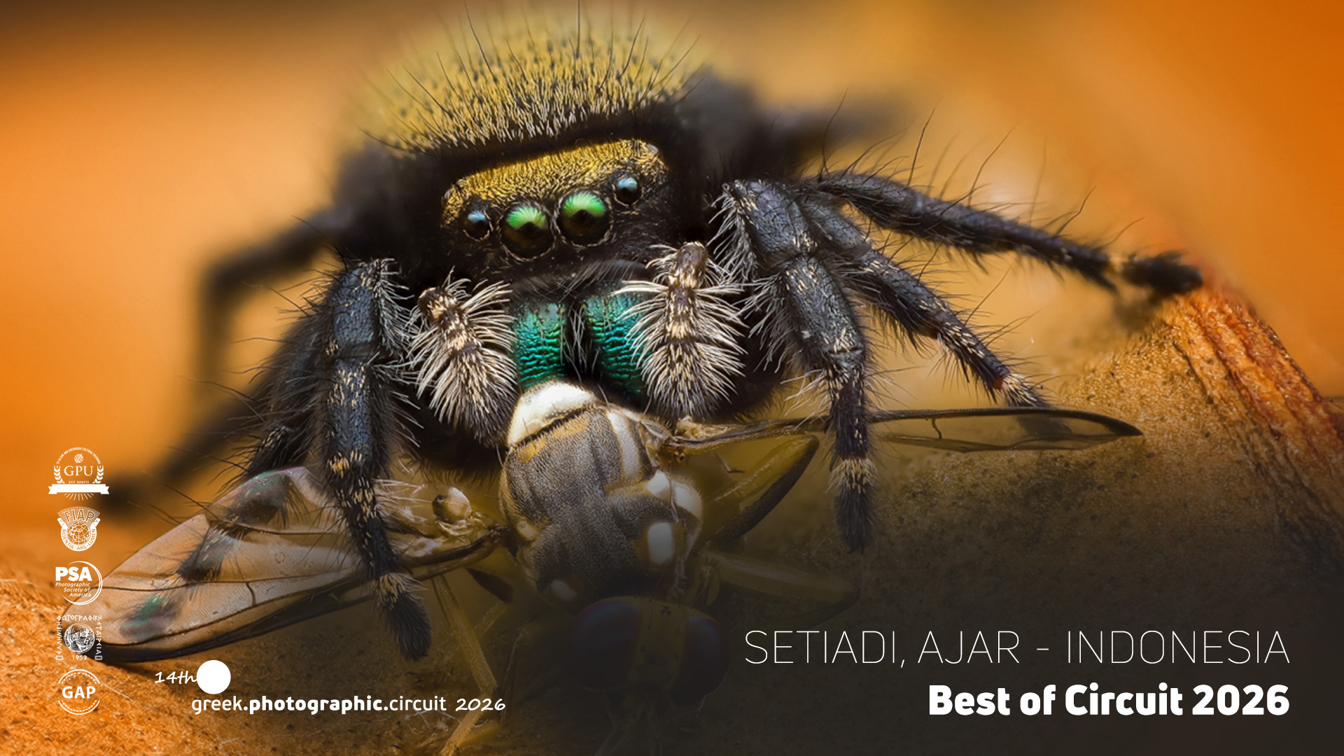 Setiadi,-Ajar-Indonesia-best-0f-2026-5